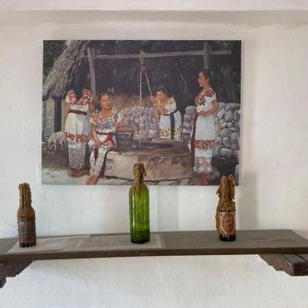 Gran Casa Colonial Equipada En El Centro De Valladolid. Villa Valladolid  Dış mekan fotoğraf